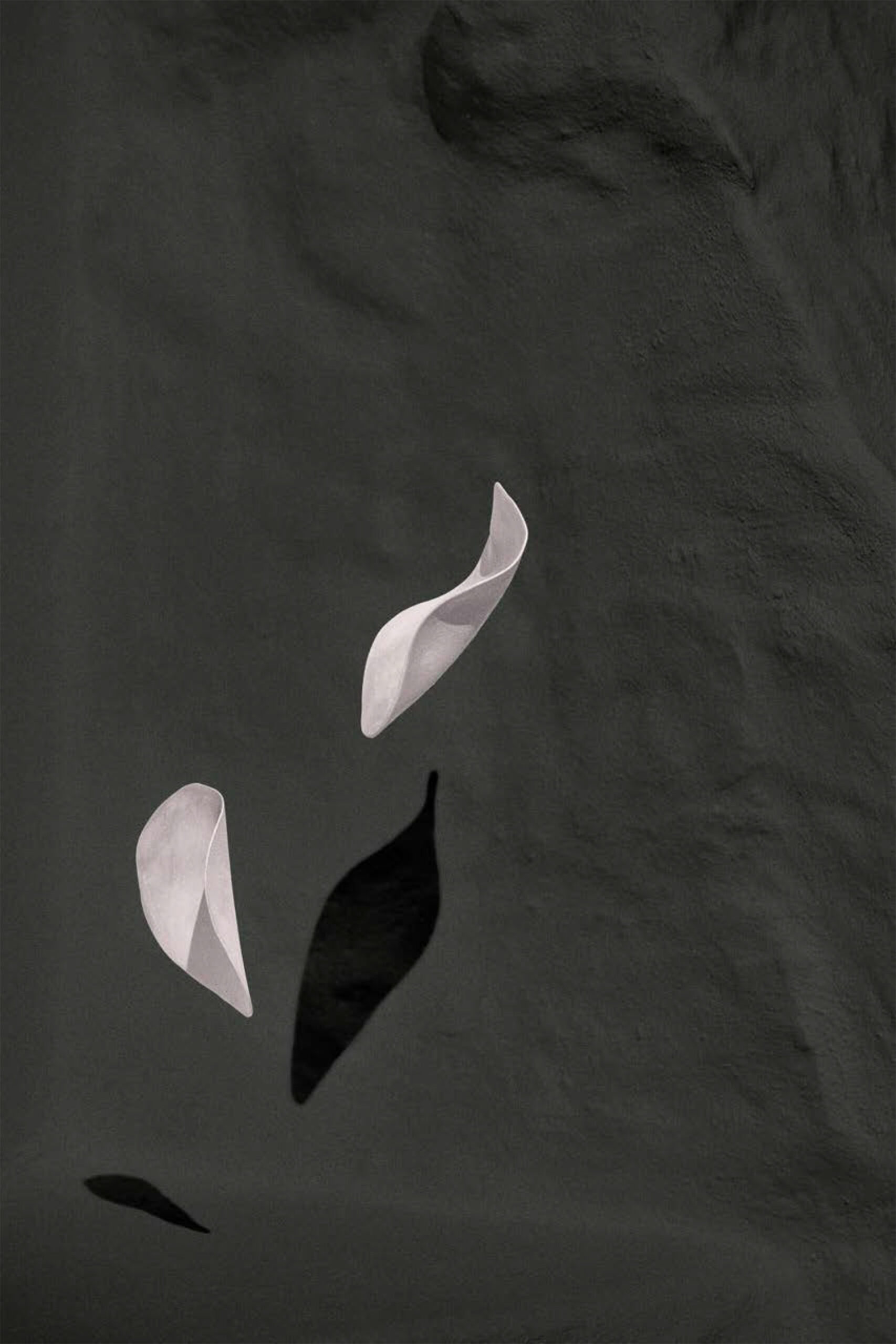 Moonlight Pages 08